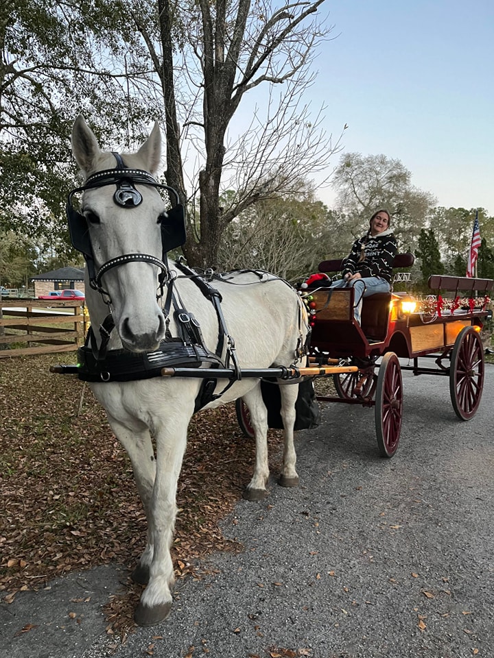 We were invited to give wagon rides during a Christmas party with our Big Red Wagon in Fleming Island, FL.