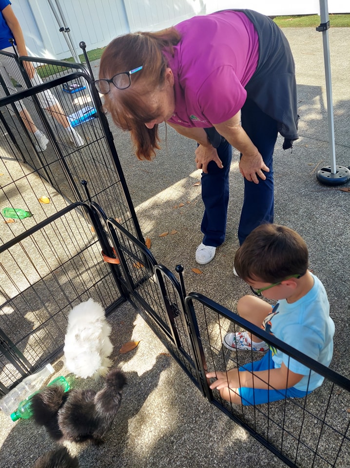 Our chickens are enjoying some attention at a summer camp petting zoo at a school in St. Johns, Florida.