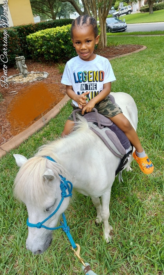 Here's our pony Smokey bringing a smile to a young child with a pony ride at a birthday party in Yulee, FL.