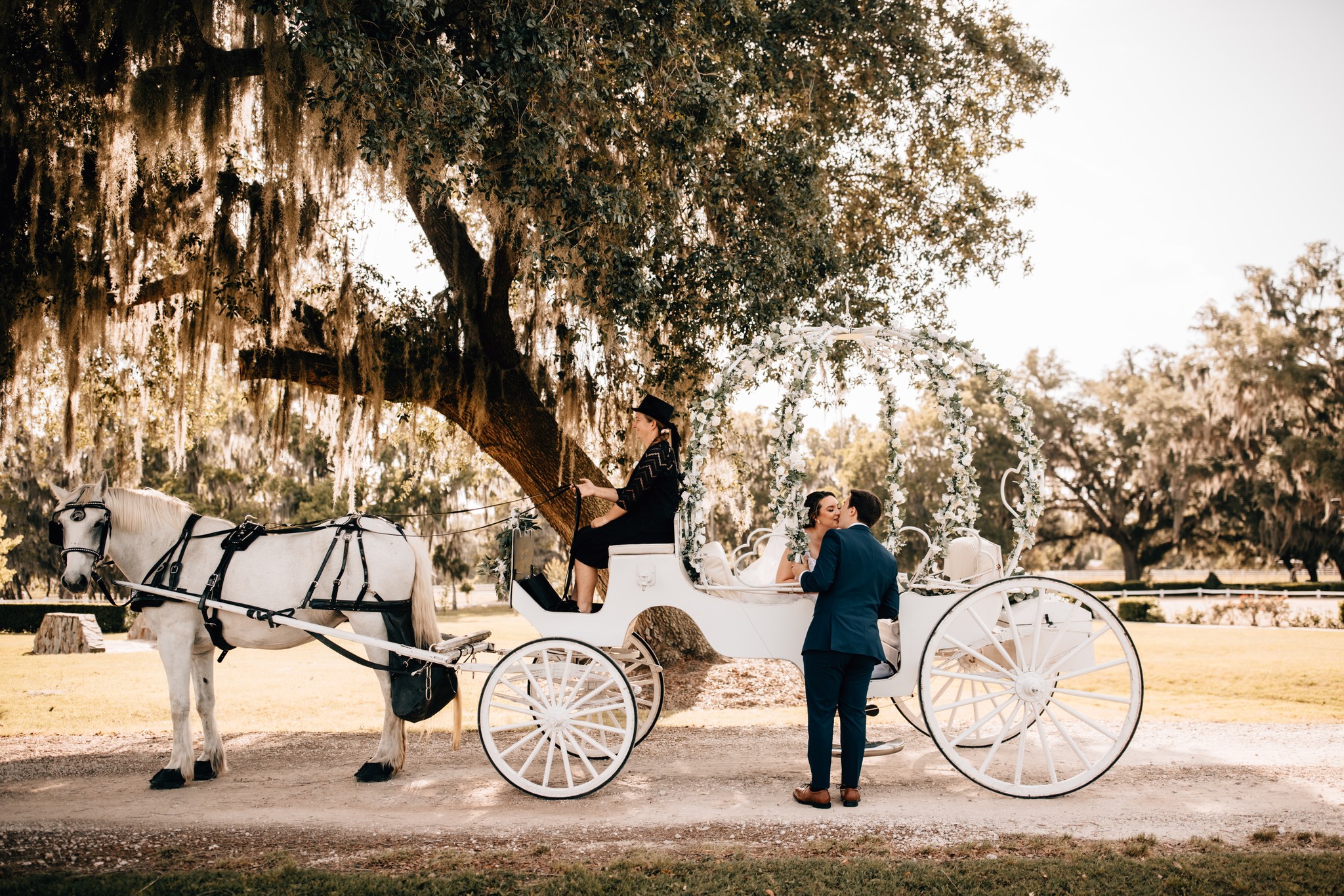 Our Big Cinderella carriage being drawn by our horse Bliss at a wedding at Planation Oaks Farms in Callahan, FL.