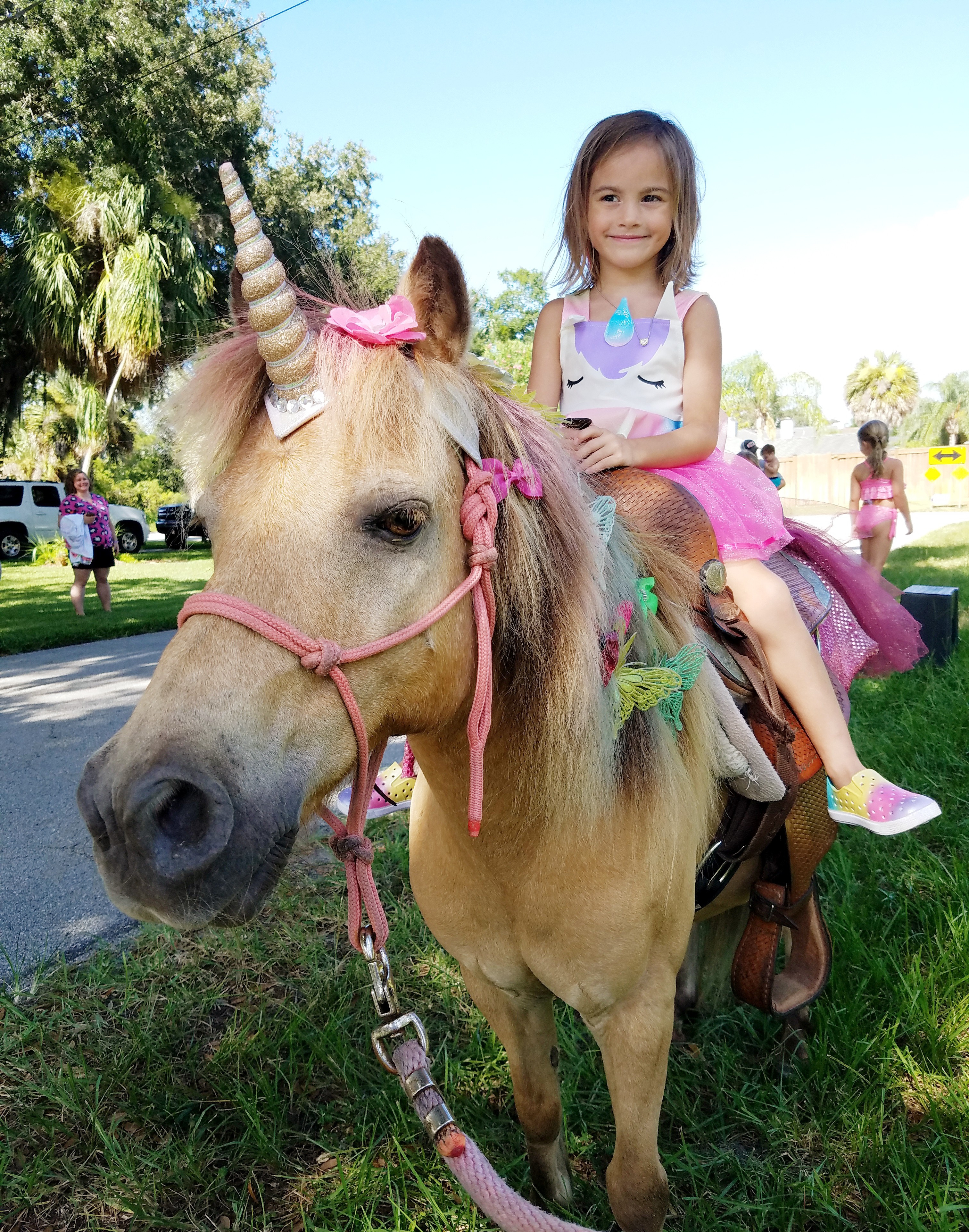 Here's our pony Brownie giving a pony ride at a birthday party in Orange Park, FL.