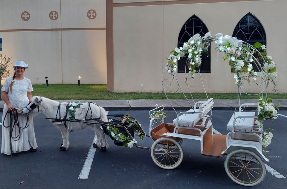 Our Mini Cinderella Carriage ready for a quinceaneara entrance in Jacksonville, Florida.