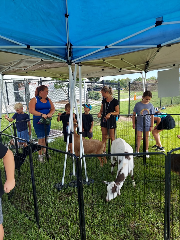 Our petting zoo had a great time visiting this school summer camp for an in-house field trip in Jacksonville, FL.