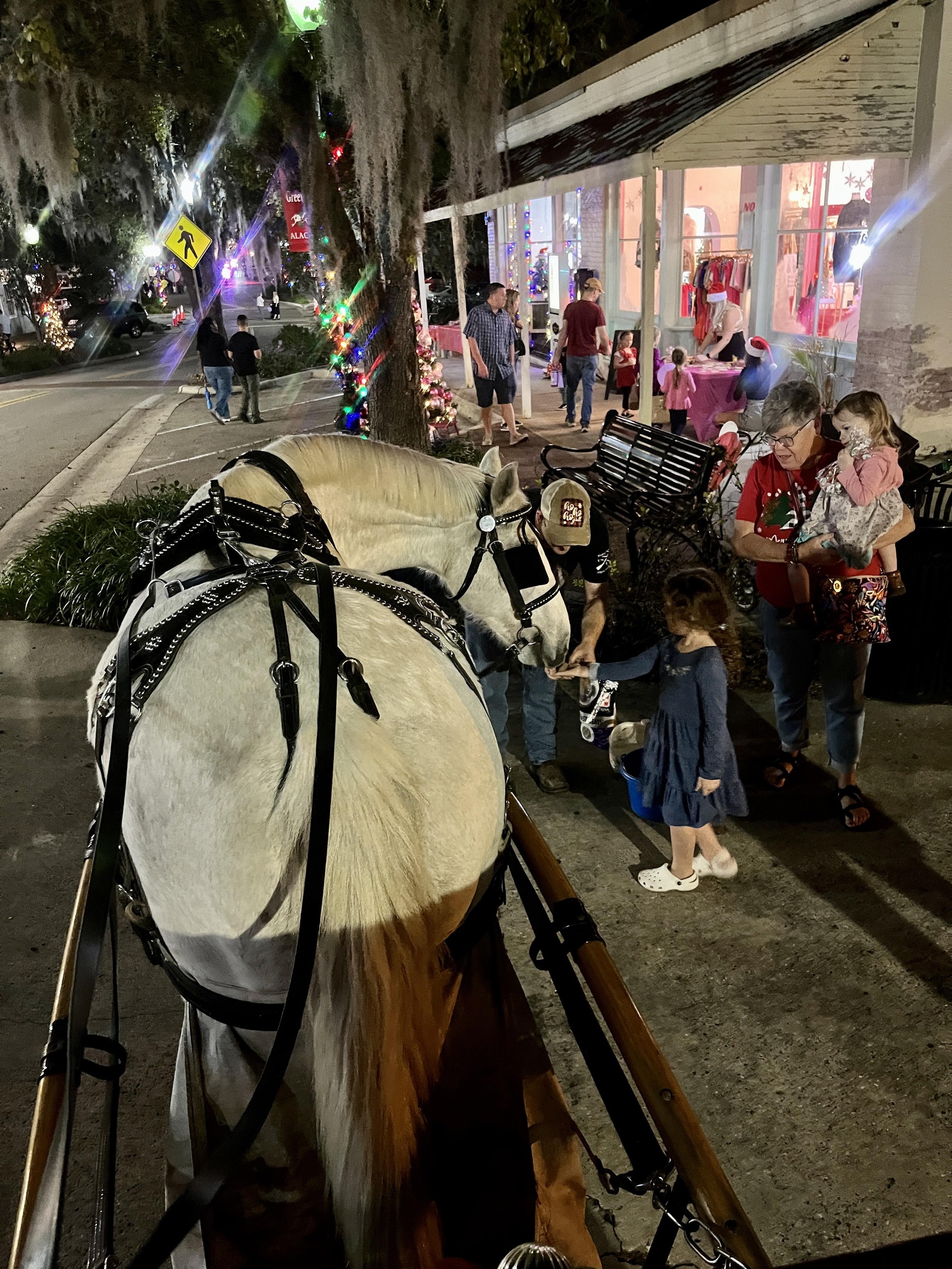 Here's our pony Mocha giving a pony ride at a birthday party in Gainesville, FL.