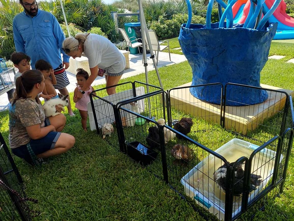 One of our staff holding a rabbit for guests saying hello at a family reunion petting zoo in Jacksonville, FL.