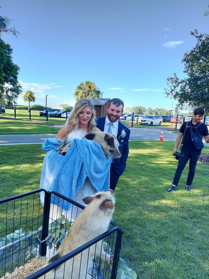 The bride and groom at a wedding holding our mini pig Pixie during our mini petting zoo. This was in Callahan, Florida.