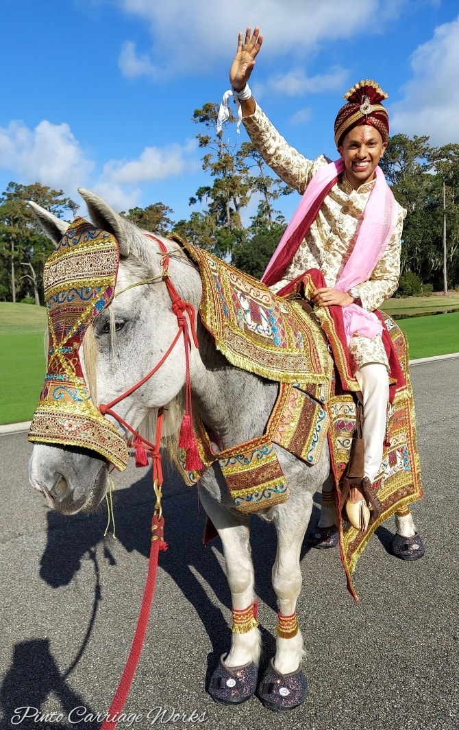 Here's our horse Joy bringing a groom into his wedding during the baraat in Ponte Vedra, FL.