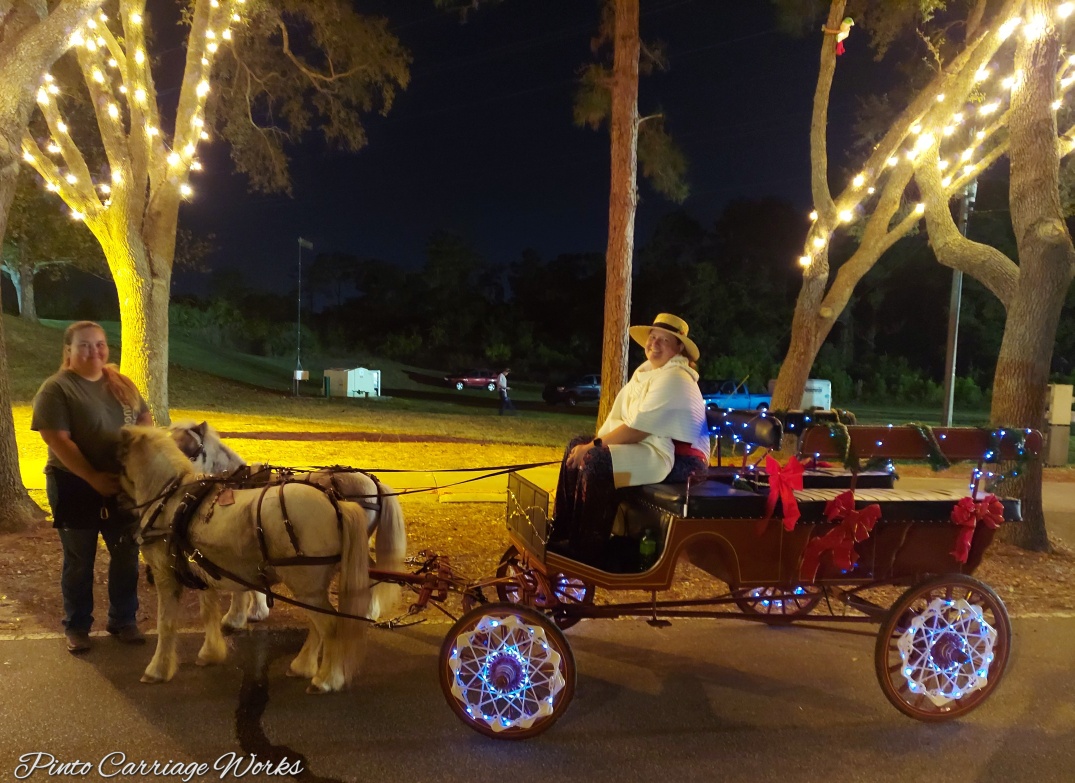 All of our carriages look festive for the Winter holidays and enjoy seeing all the lights. The best way to see lights is by horse carriage in Middleburg, FL.