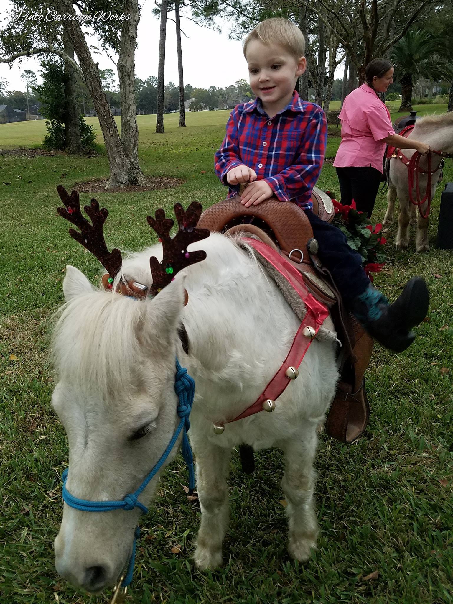 This is our pony Trigger dressed up as a reindeer for a holiday party in St. Johns, FL.