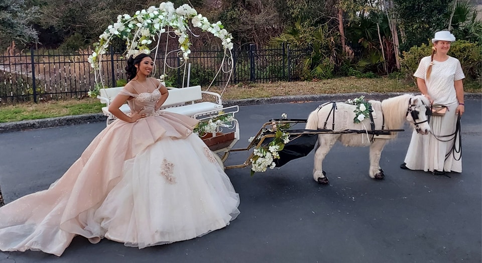 Our Mini Cinderella carriage doing an entrance at a quinceaneara party in Jacksonville, FL.