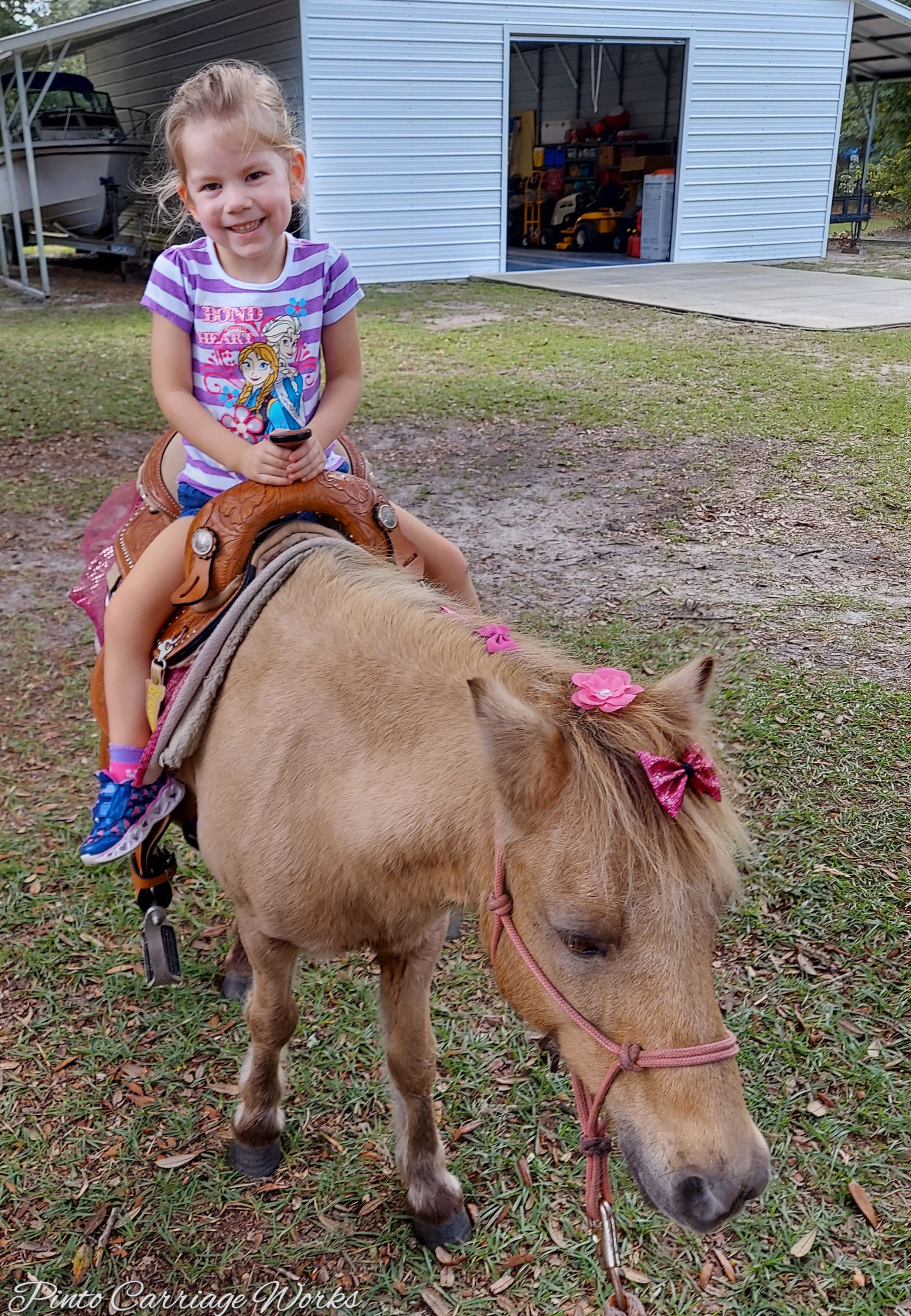 Pink cowboy pony Brownie at a birthday party in Lake City, FL.