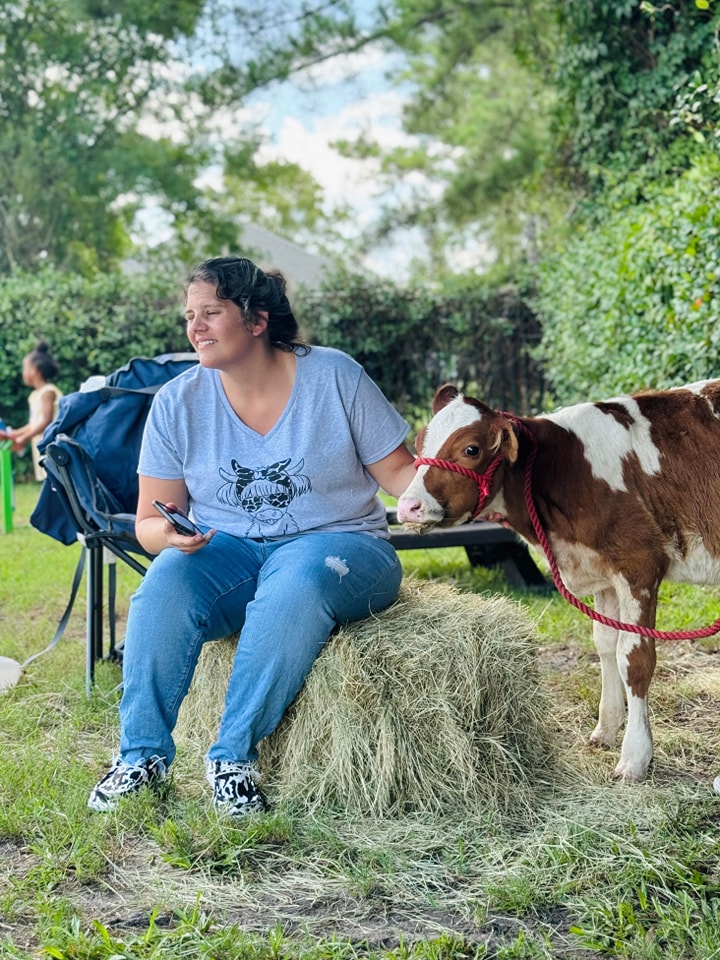 One of our beautiful cows hanging out for a cuddle during a petting zoo at a daycare festival in Orange Park, FL.