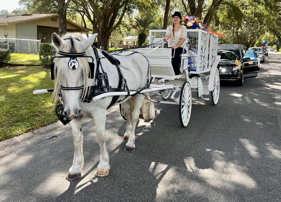 Here's our enclosed glass hearse carriage leading the funeral procession on the way to the cemetery in Gainesville, FL.