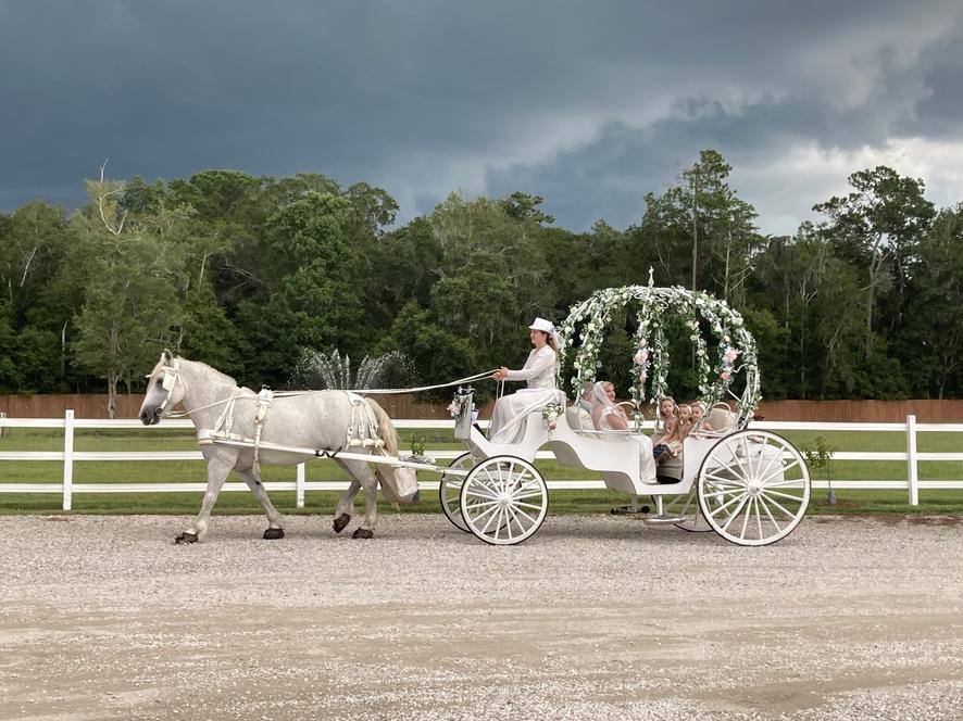 Here's our Big Cinderella Carriage bringing the bride and her flower girls into her wedding ceremony at the lovely wedding venue called Plantation Oaks Farms in Callahan, Florida.