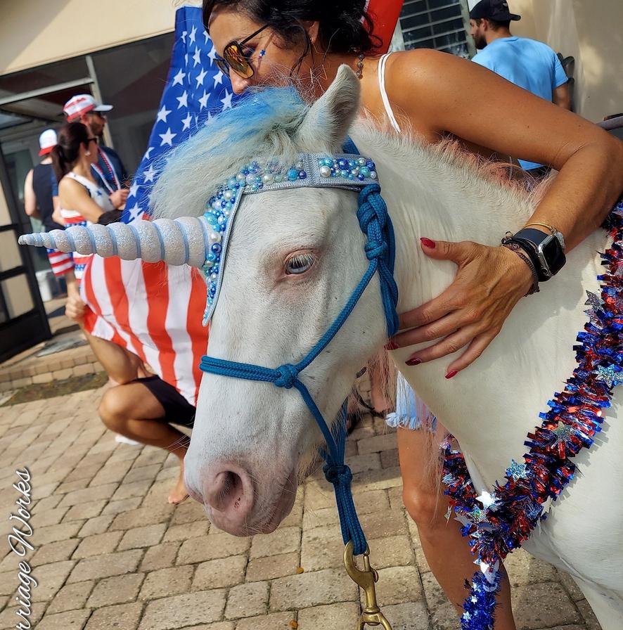 This is our pony Hero dressed up as a patriotic unicorn for a 4th of July party in Jacksonville, FL.