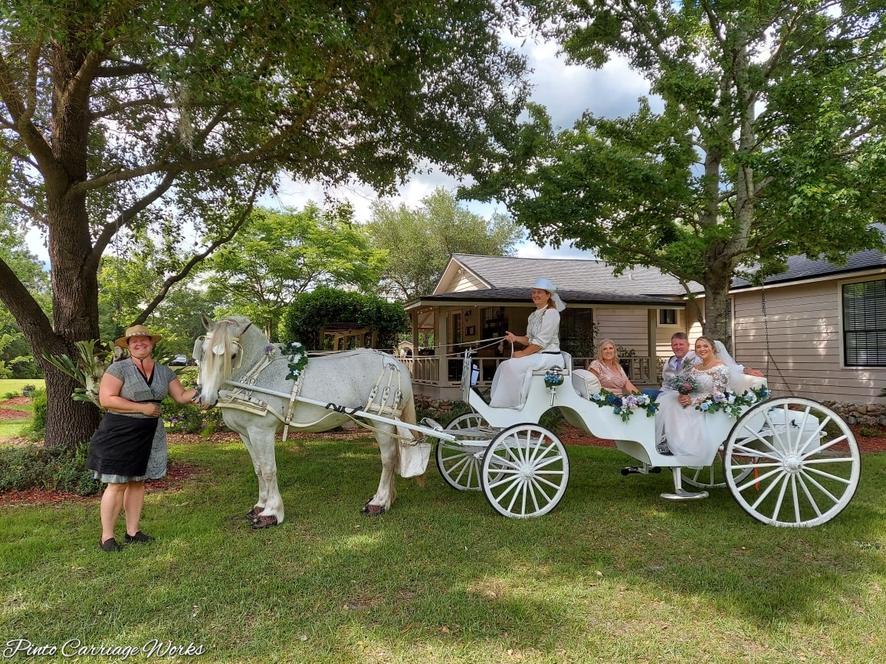 Here's our Classic Horse Carriage doing a bridal entrance at a wedding in Bryceville, Florida.