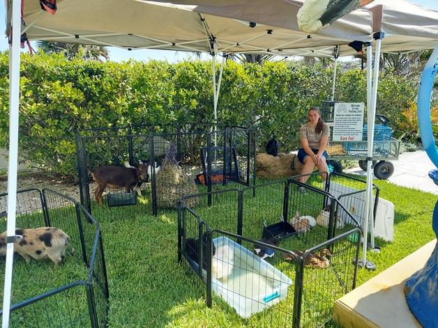 Our petting zoo ready to greet the kids at a family reunion party in Jacksonville Beach, FL.