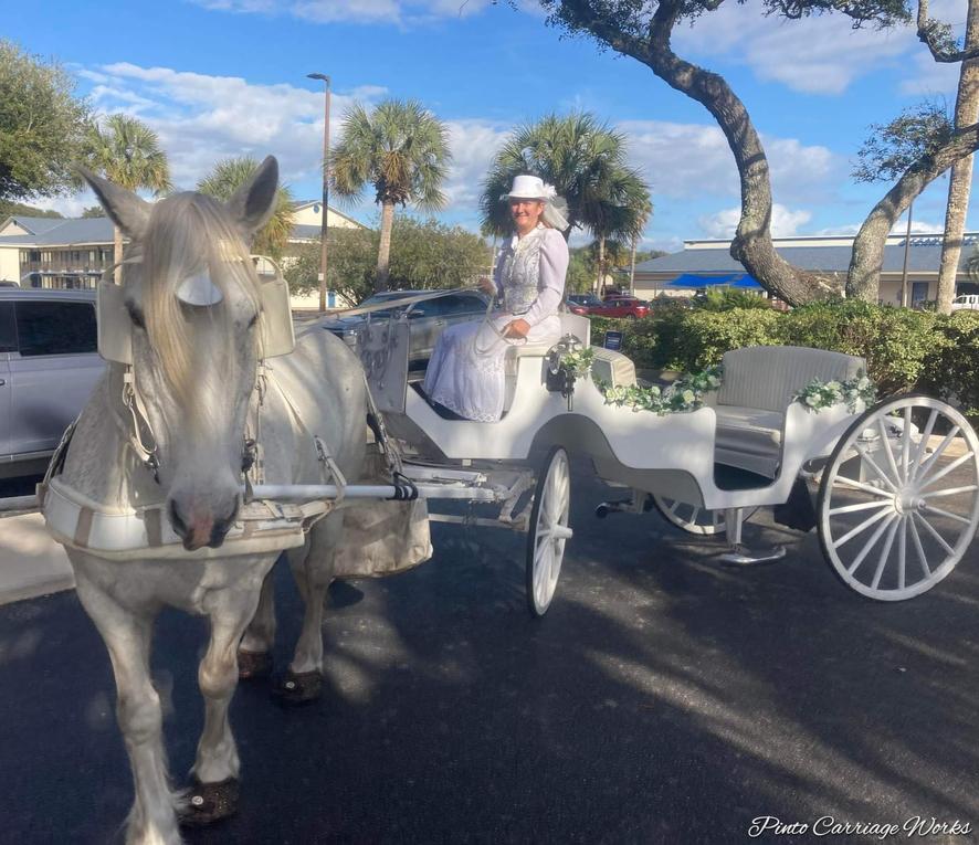 Here's our white Classic Horse Carriage doing a bridal entrance and couple's getaway for a wedding ceremony on the beach of Fernandina Beach, Florida.