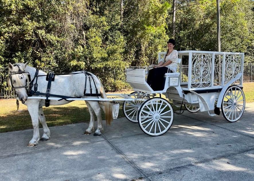 Our enclosed hearse carriage waiting for a funeral service to be over in Jacksonville, FL.