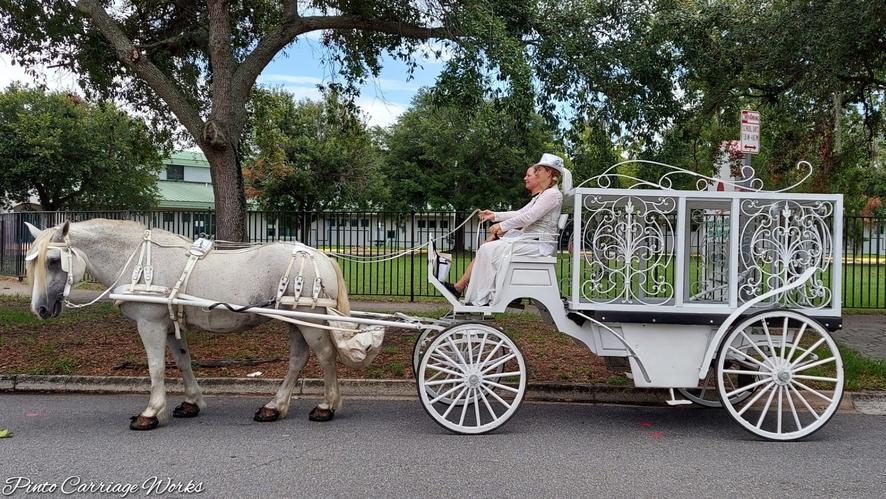 Here's our enclosed glass hearse carriage ready to assist a funeral home with a procession to the cemetery in Jacksonville, FL.