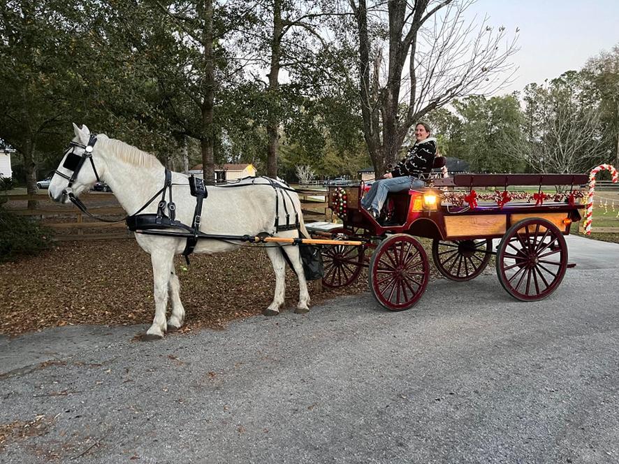 Here's our Big Red Wagon getting ready to do some holiday light tours in Middleburg, FL.