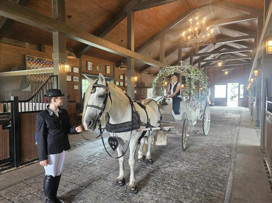 Our Big Cinderella Carriage waiting for our bride to arrive to make an entrance to her wedding ceremony inside the barn at the beautiful wedding venue called Plantation Oaks Farms in Callahan, FL.